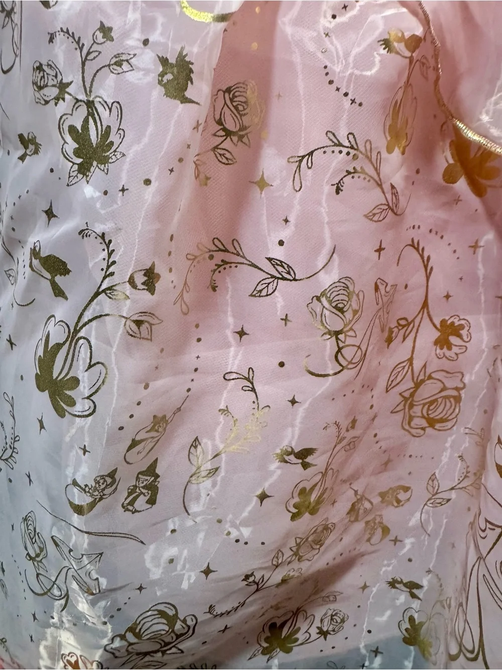 Disney Pink and Gold Princess Dress Costume